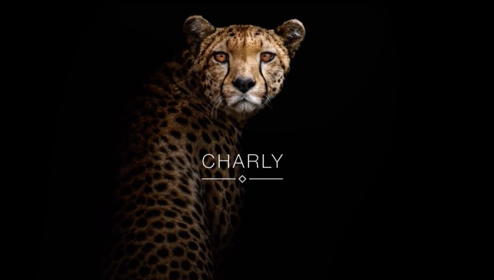 Die Praxissoftware CHARLY von solutio wird durch einen Imagefilm beworben.