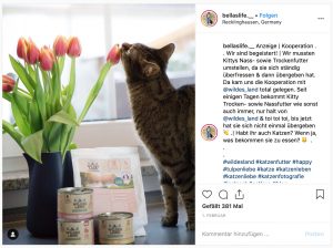 Deutsche Dog- und Catfluencer auf Instagram