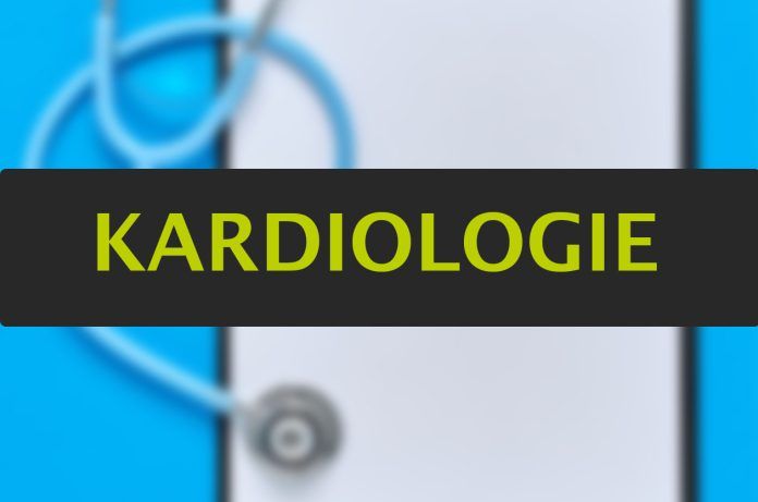 Factsheet Kardiologie - wie informieren sich Ärzte und Ärztinnen?