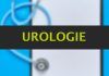 Factsheet Urologie -wie informieren sich Ärzte und Ärztinnen?